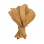 Cuchillos de untar de bambú